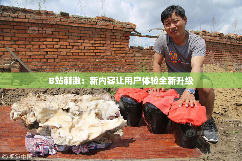 B站刺激：新内容让用户体验全新升级