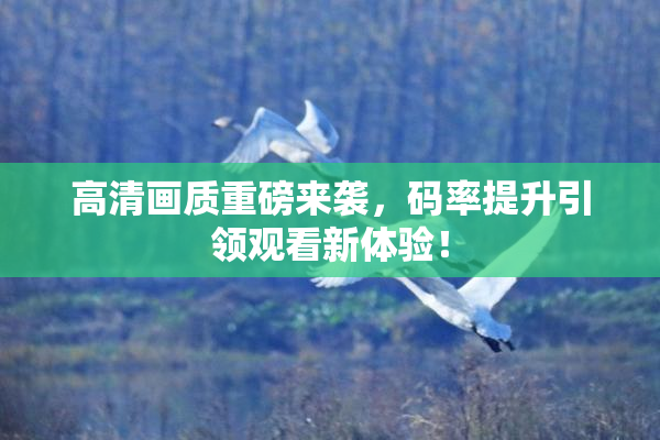 高清画质重磅来袭，码率提升引领观看新体验！