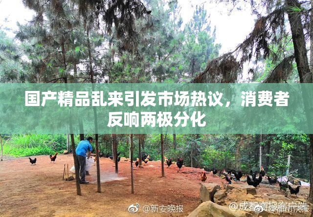 国产精品乱来引发市场热议，消费者反响两极分化