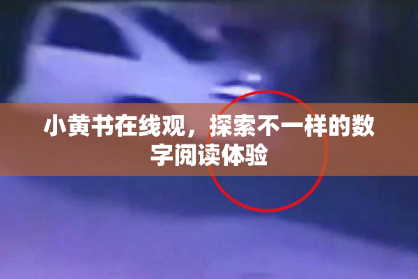小黄书在线观，探索不一样的数字阅读体验