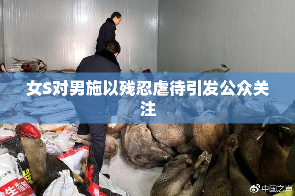 女S对男施以残忍虐待引发公众关注