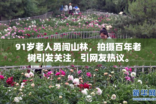 91岁老人勇闯山林，拍摄百年老树引发关注，引网友热议。