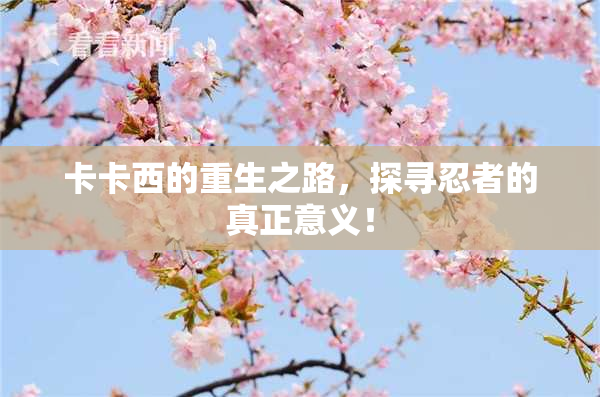 卡卡西的重生之路，探寻忍者的真正意义！