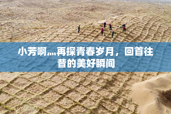 小芳啊灬再探青春岁月，回首往昔的美好瞬间