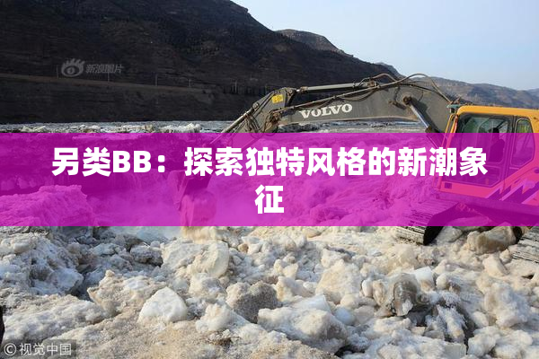 另类BB：探索独特风格的新潮象征
