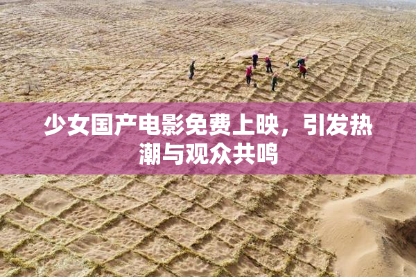 少女国产电影免费上映，引发热潮与观众共鸣