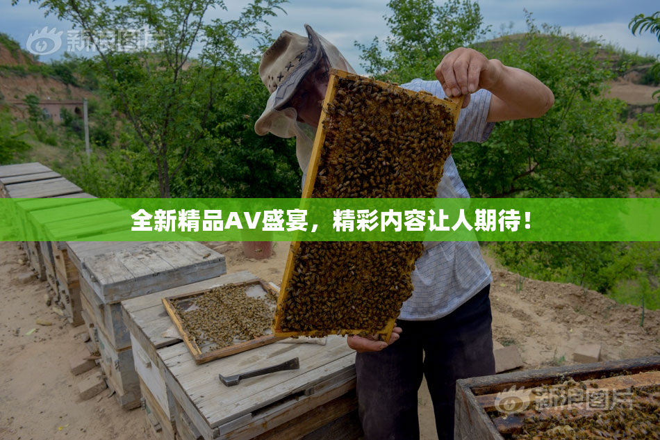 全新精品AV盛宴，精彩内容让人期待！