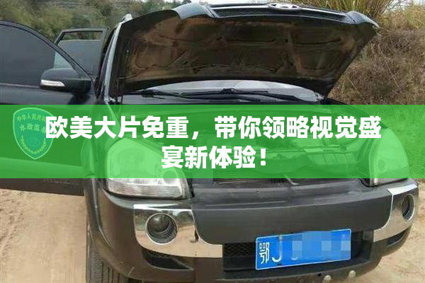 欧美大片免重，带你领略视觉盛宴新体验！