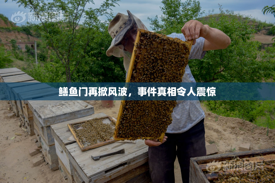 鳝鱼门再掀风波，事件真相令人震惊