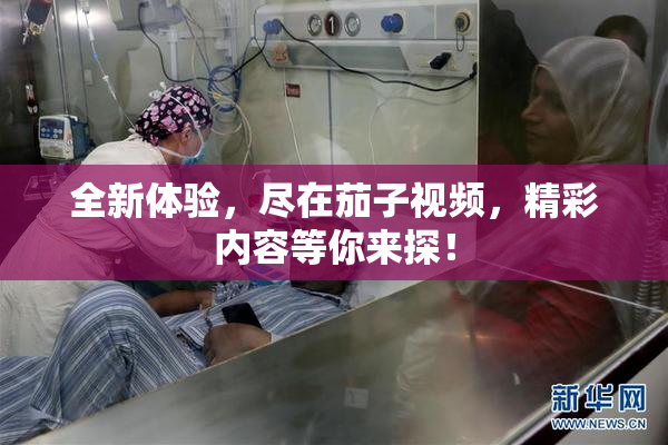全新体验，尽在茄子视频，精彩内容等你来探！