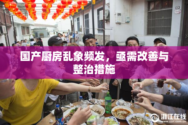 国产厨房乱象频发，亟需改善与整治措施