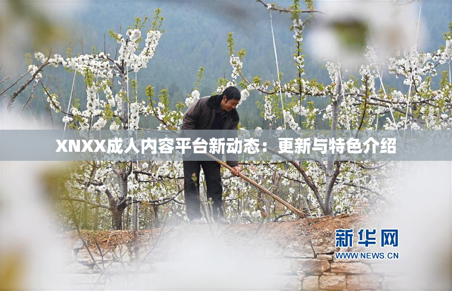 XNXX成人内容平台新动态：更新与特色介绍