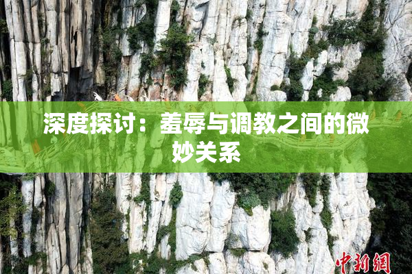 深度探讨：羞辱与调教之间的微妙关系