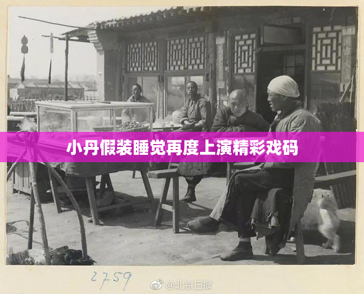 小丹假装睡觉再度上演精彩戏码