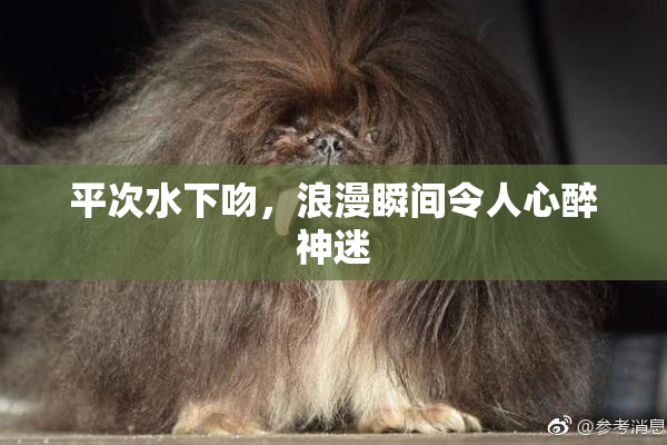 平次水下吻，浪漫瞬间令人心醉神迷