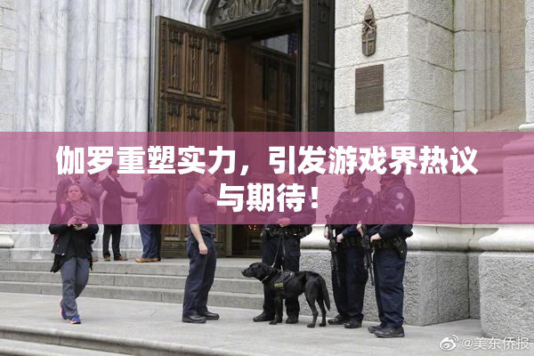 伽罗重塑实力，引发游戏界热议与期待！