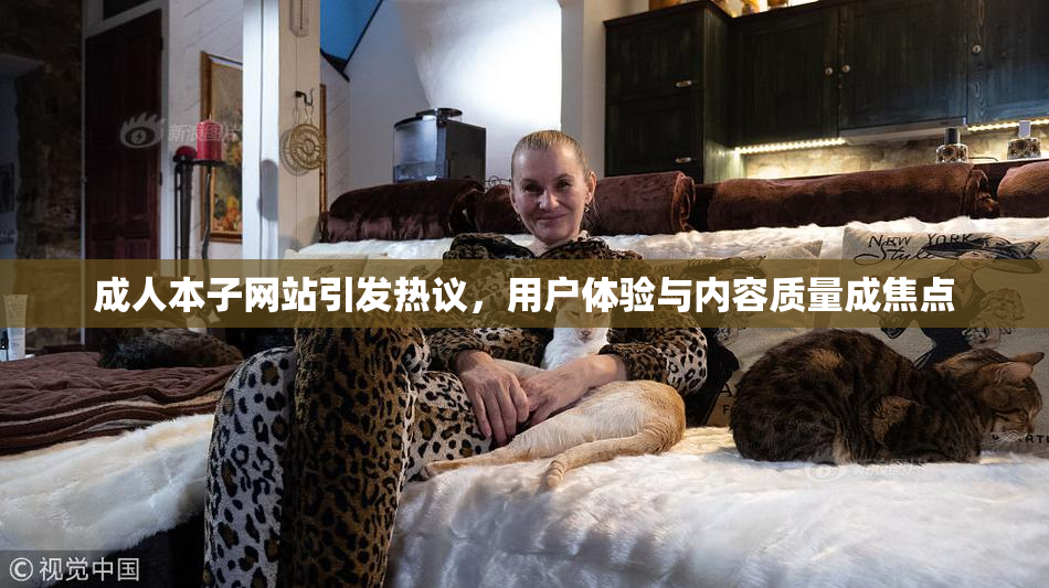 成人本子网站引发热议，用户体验与内容质量成焦点