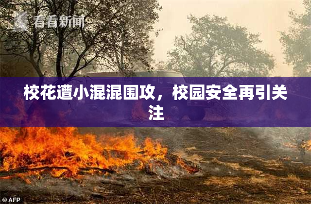 校花遭小混混围攻，校园安全再引关注