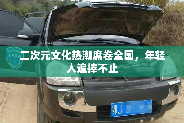 二次元文化热潮席卷全国，年轻人追捧不止