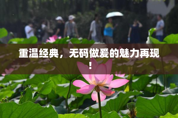 重温经典，无码做爰的魅力再现！