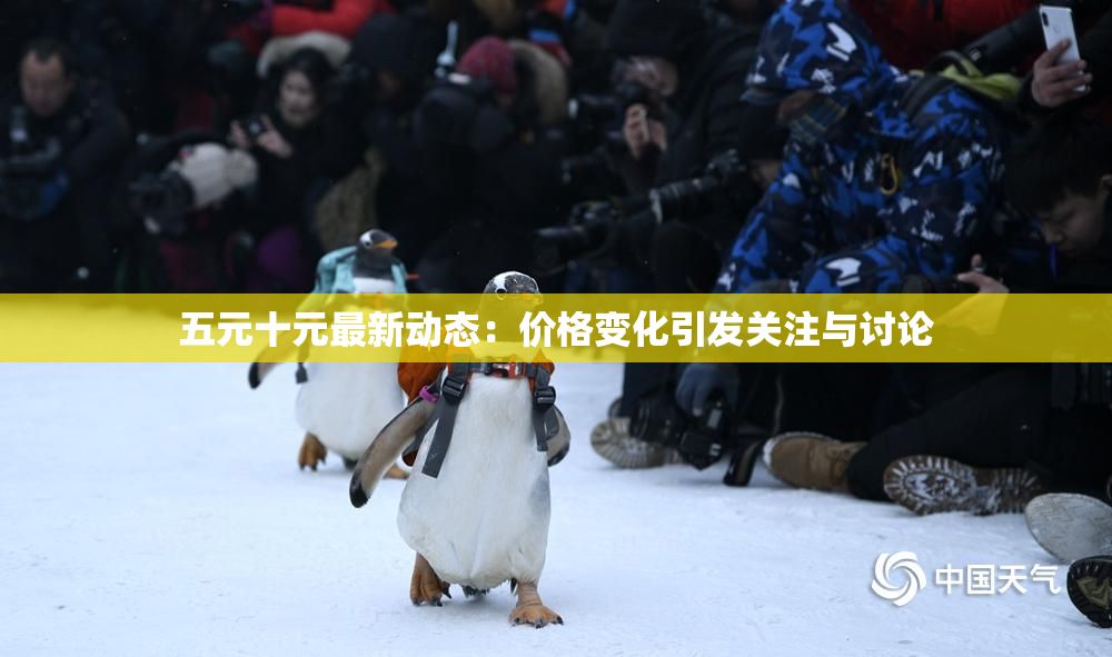 五元十元最新动态：价格变化引发关注与讨论