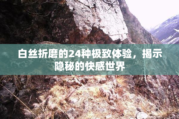 白丝折磨的24种极致体验，揭示隐秘的快感世界