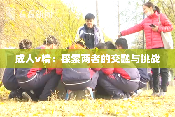成人v精：探索两者的交融与挑战