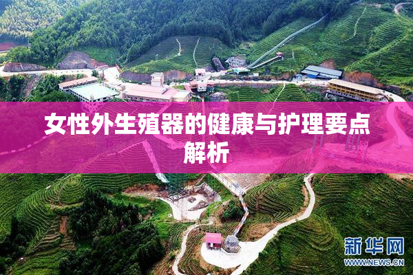 女性外生殖器的健康与护理要点解析