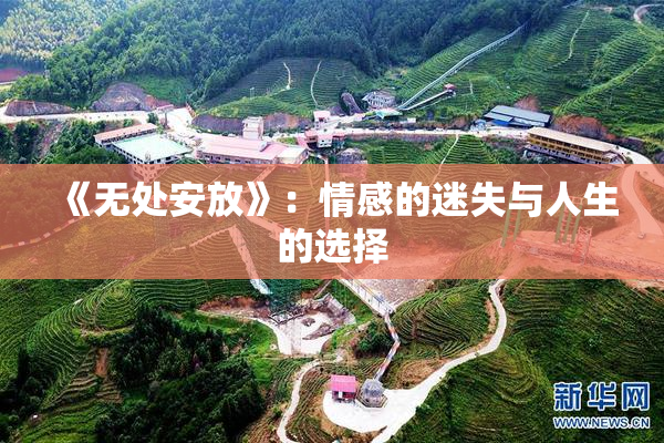 《无处安放》：情感的迷失与人生的选择
