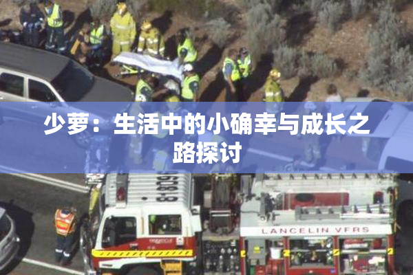 少萝：生活中的小确幸与成长之路探讨