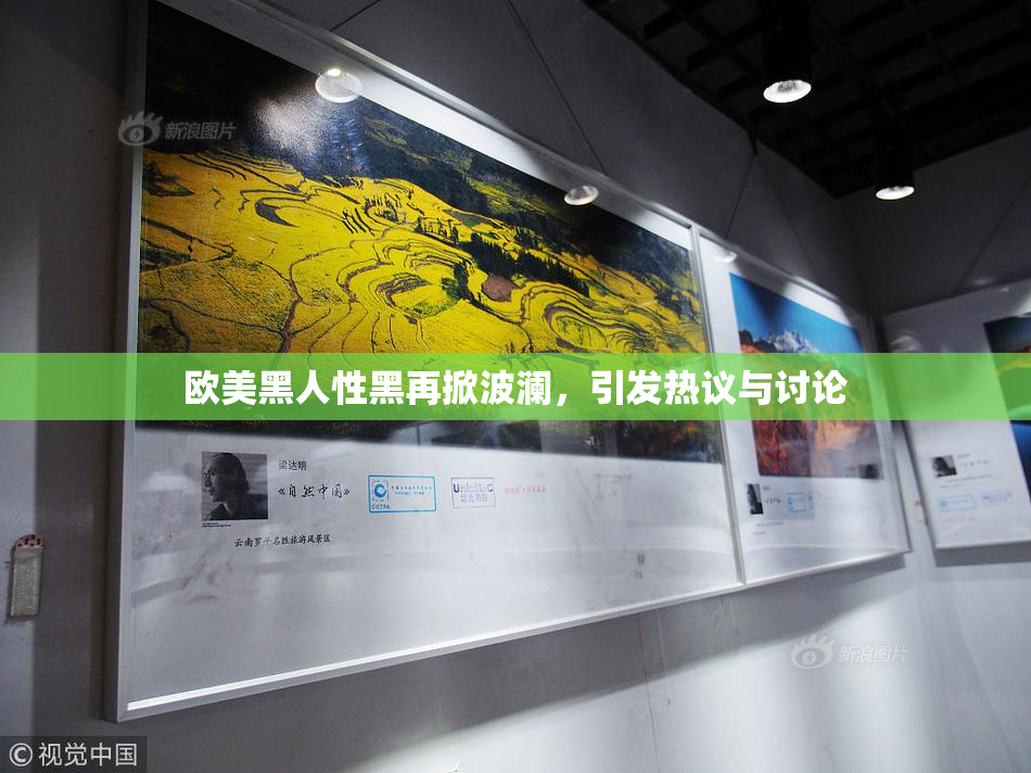 欧美黑人性黑再掀波澜，引发热议与讨论