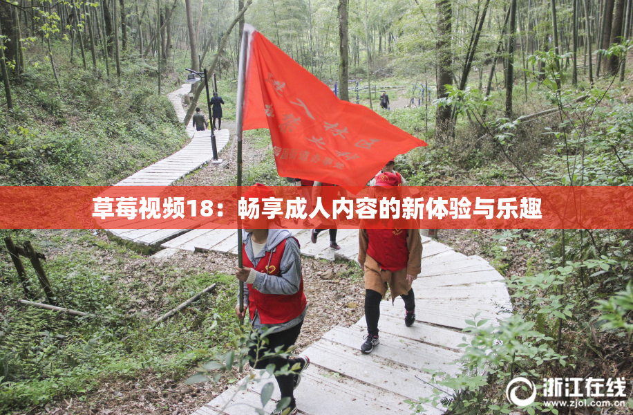 草莓视频18：畅享成人内容的新体验与乐趣