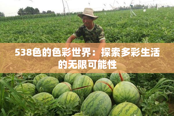 538色的色彩世界：探索多彩生活的无限可能性
