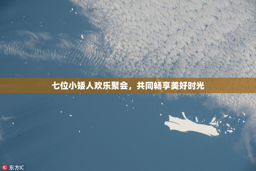 七位小矮人欢乐聚会，共同畅享美好时光