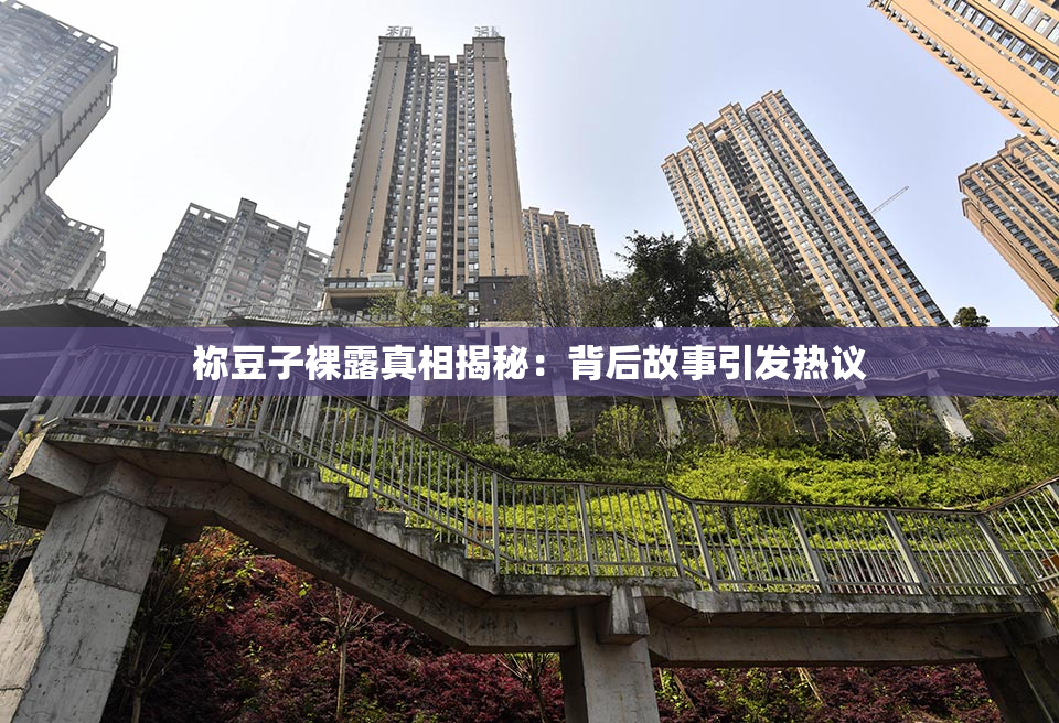 祢豆子裸露真相揭秘：背后故事引发热议