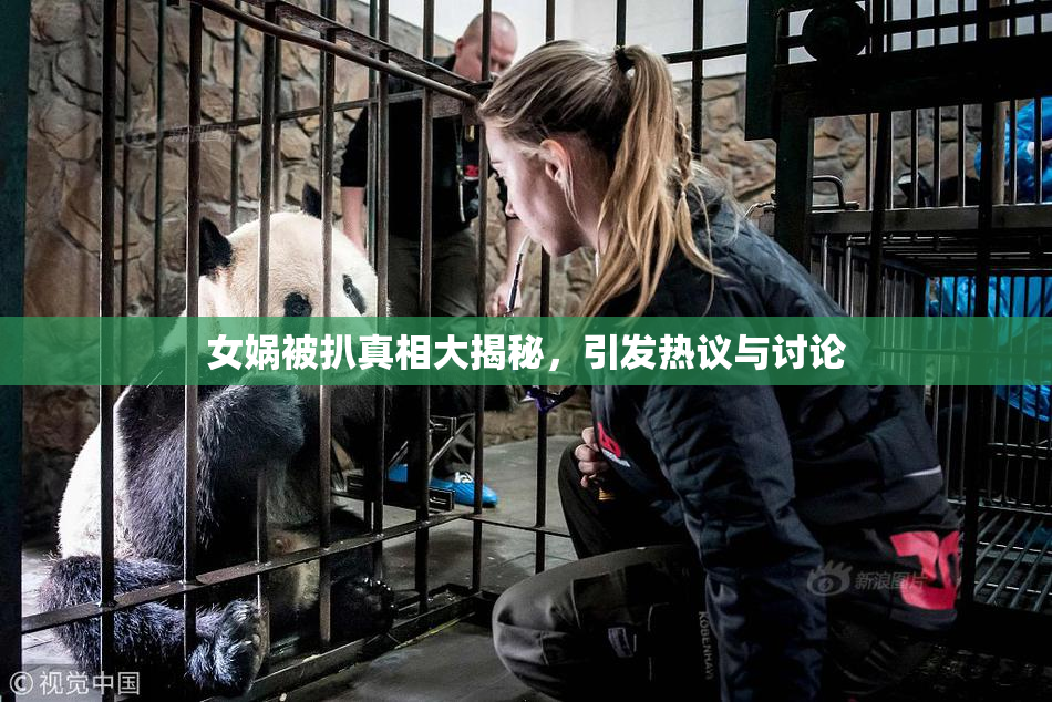 女娲被扒真相大揭秘，引发热议与讨论