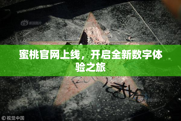蜜桃官网上线，开启全新数字体验之旅