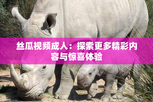 丝瓜视频成人：探索更多精彩内容与惊喜体验
