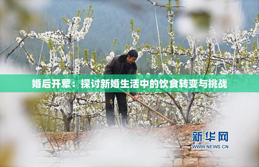 婚后开荤：探讨新婚生活中的饮食转变与挑战