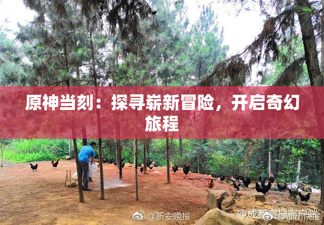 原神当刻：探寻崭新冒险，开启奇幻旅程