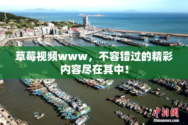 草莓视频www，不容错过的精彩内容尽在其中！