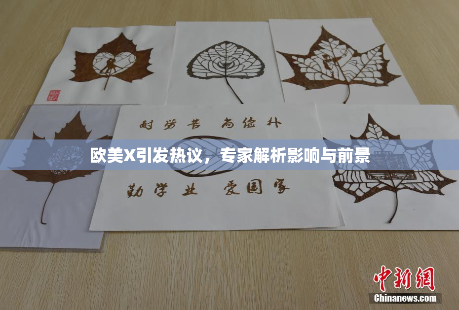 欧美X引发热议，专家解析影响与前景