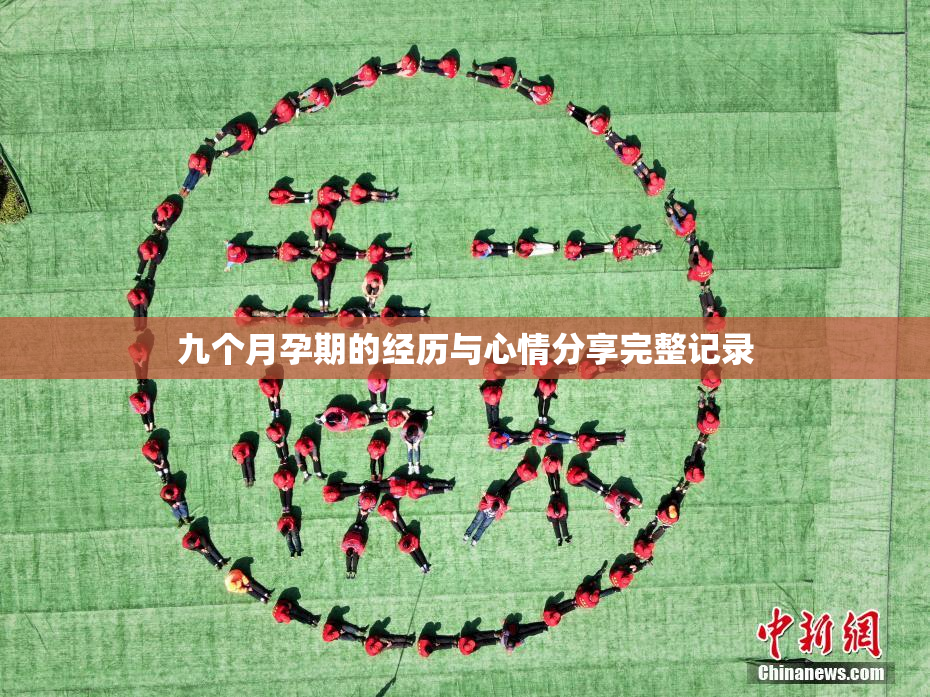 九个月孕期的经历与心情分享完整记录