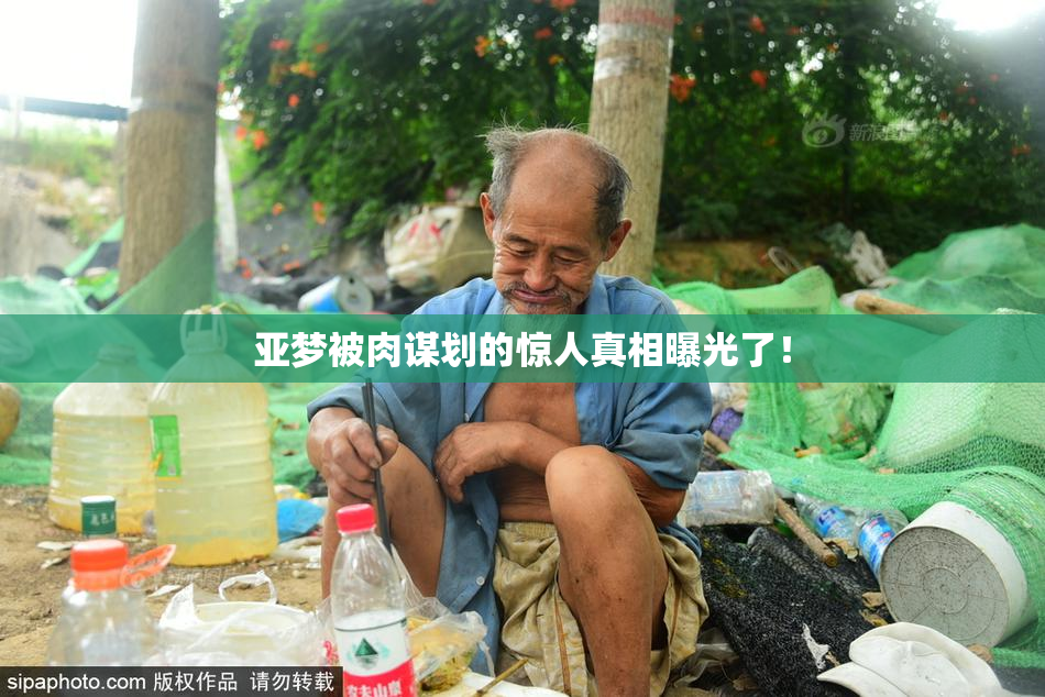亚梦被肉谋划的惊人真相曝光了！