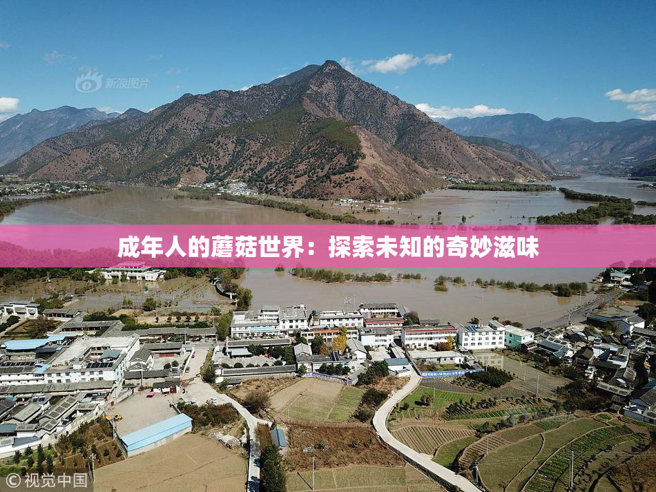 成年人的蘑菇世界：探索未知的奇妙滋味
