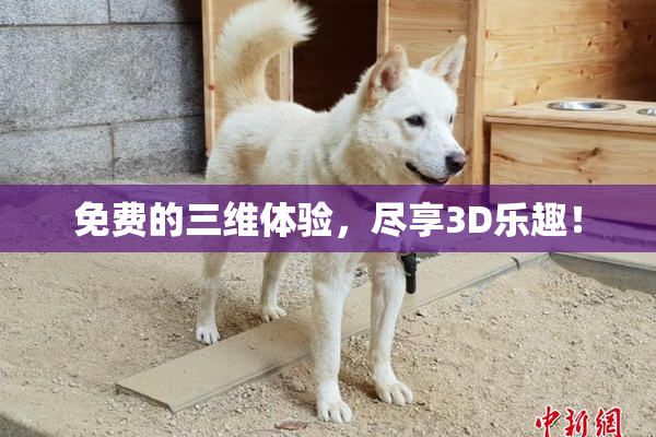 免费的三维体验，尽享3D乐趣！