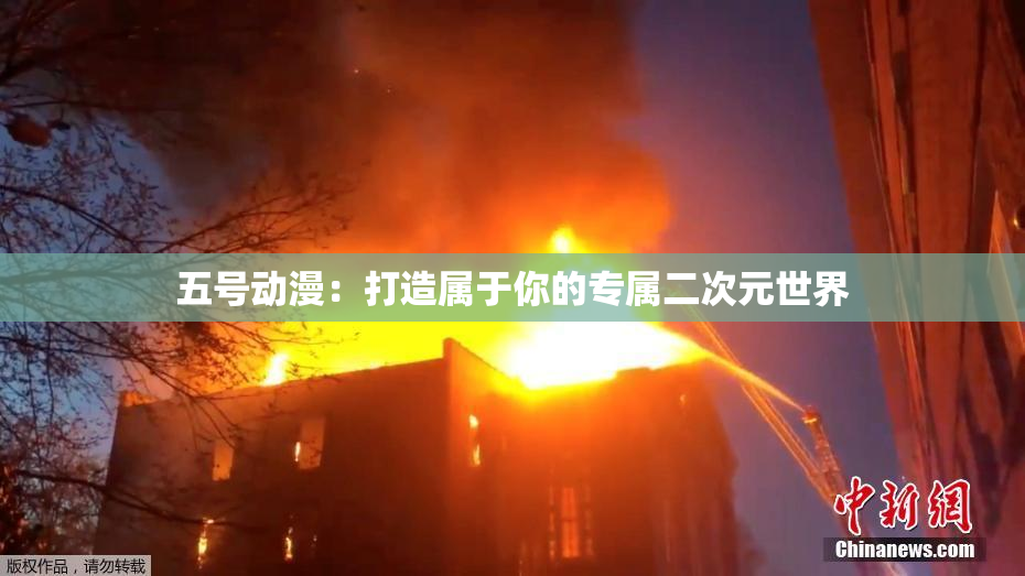 五号动漫：打造属于你的专属二次元世界