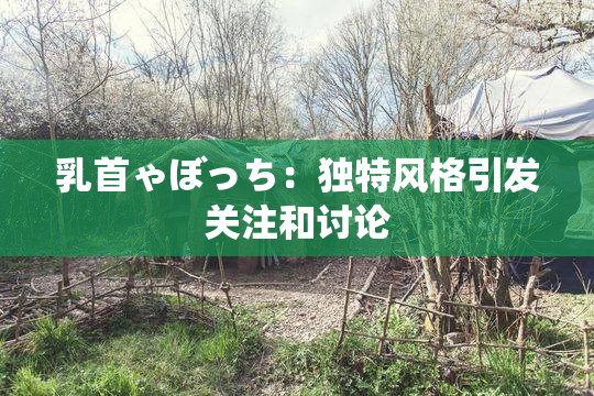 乳首ゃぼっち：独特风格引发关注和讨论