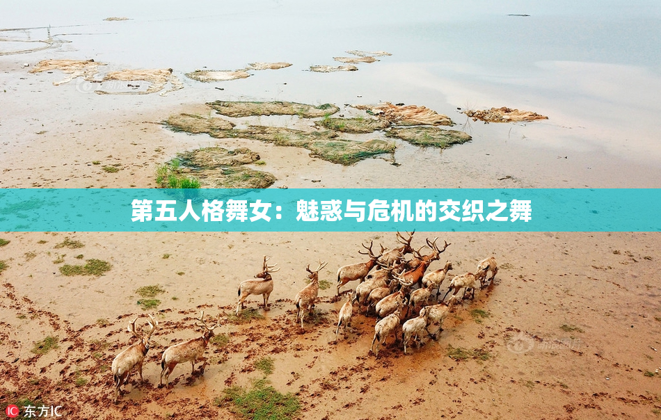 第五人格舞女：魅惑与危机的交织之舞