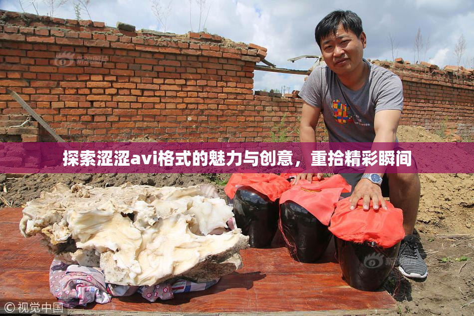 探索涩涩avi格式的魅力与创意，重拾精彩瞬间